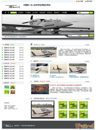 未來之翼 無人機網(wǎng)站頁面設(shè)計與開發(fā)征集方案
